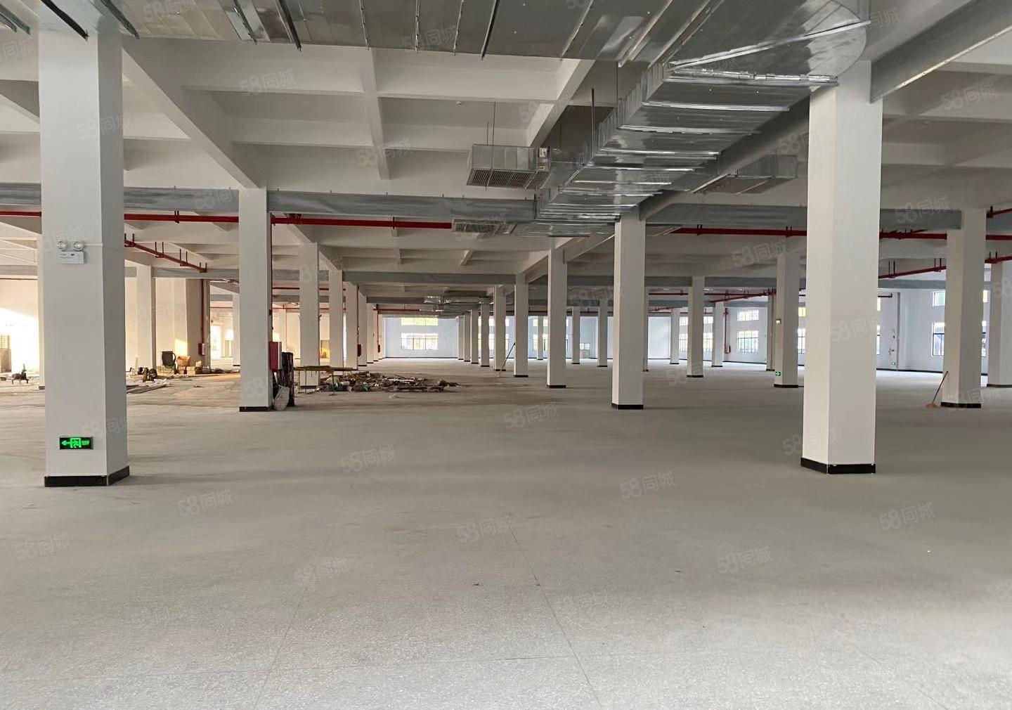 博罗园洲工业区一楼2百5百8百1千平独院红本仓库厂房出租分租