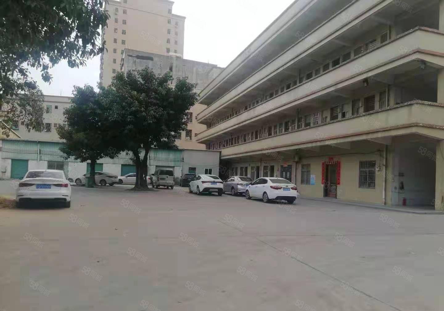 单一层砖墙到顶500起租龙溪镇主干道附近总面积25800平方