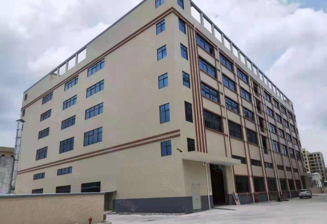 园洲镇红本双证标准厂房出租