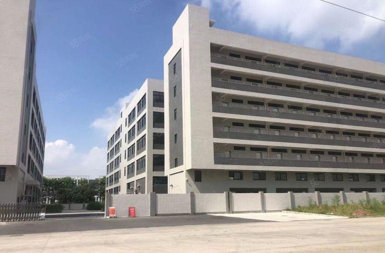 石湾科技园全新标准厂房出租独门独院带红本价格便宜