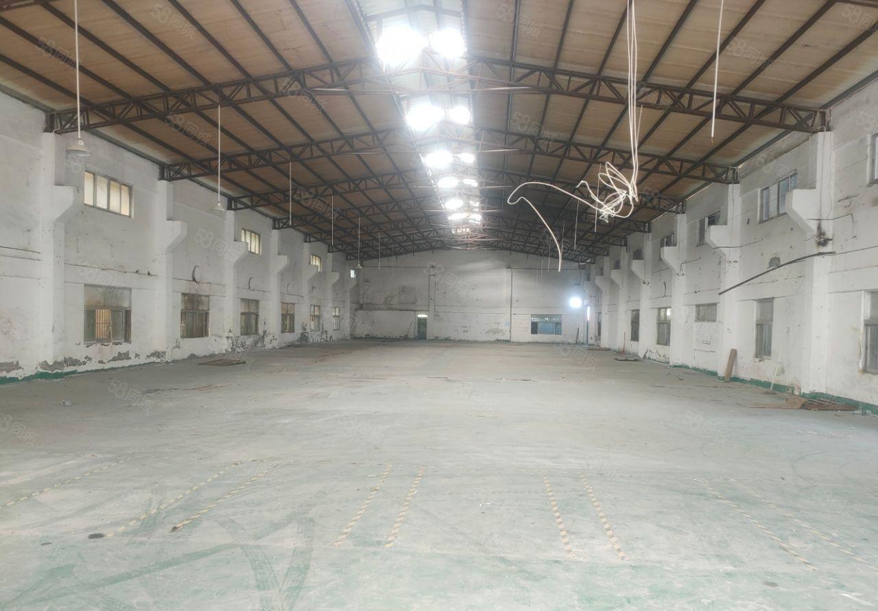 龙溪园区独门独院  超大空地  随时可看