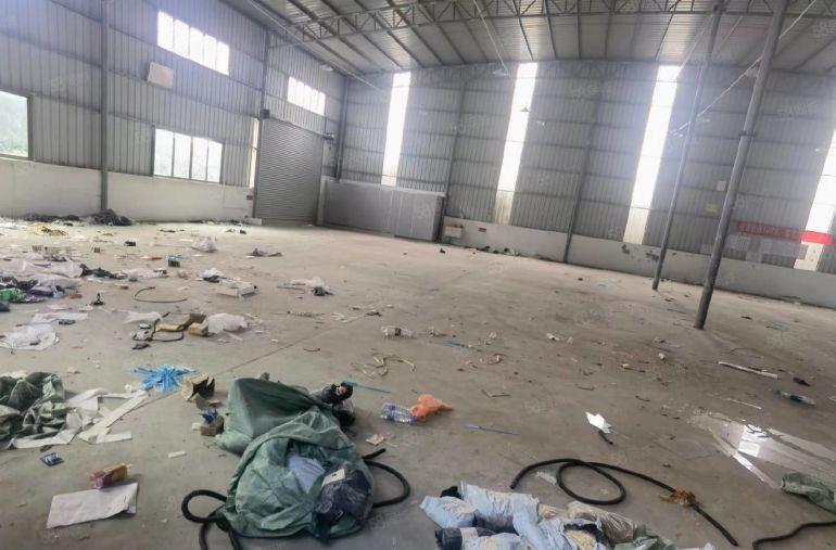 园洲镇九潭新出原房东滴水8米单一层