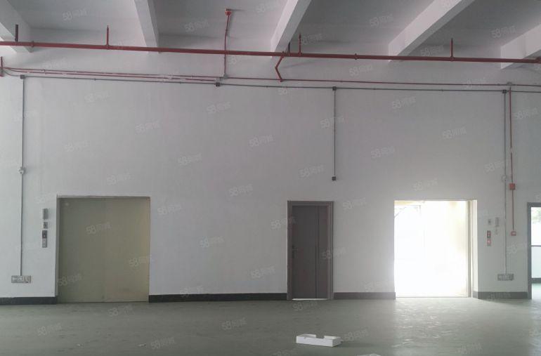 石湾3200平工业园区厂房出租绿化好可分租大车可进