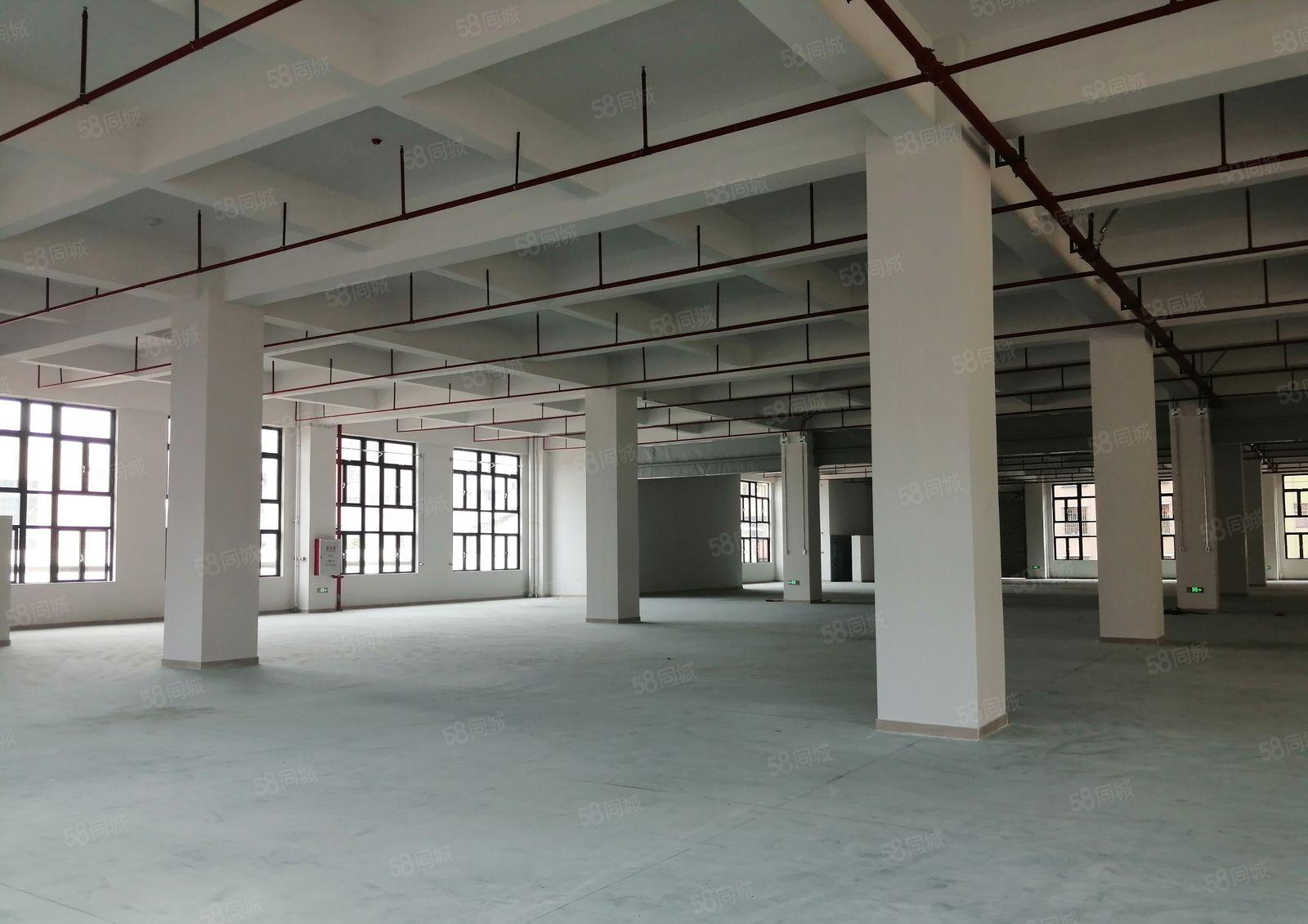 石湾镇全新标准厂房20,100平方（可分租）