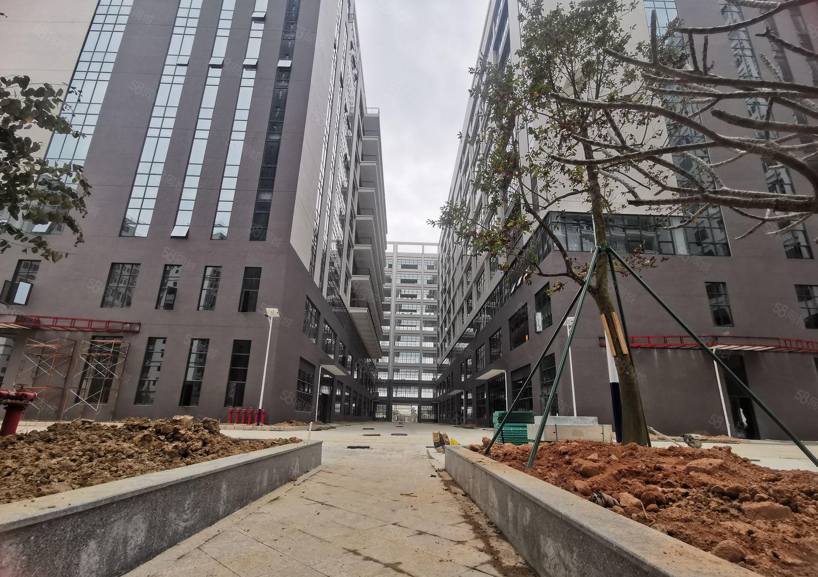 非中介！博罗龙溪镇新出红本双证标准厂房！原房东特价出租！