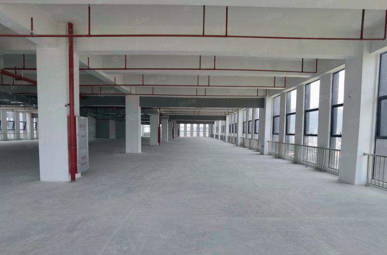 原房东博罗园洲全新标准厂房4000平可分租，玻璃幕墙