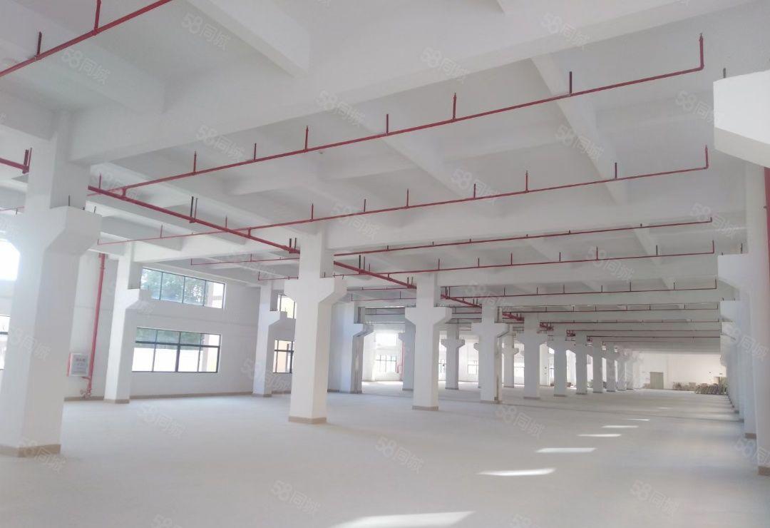 石湾原房东红本双证重工业标准厂房出租