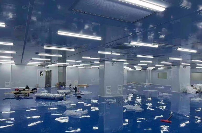 园洲丙二类消防喷淋10元原房东厂房出租水电精装修标准配钢构