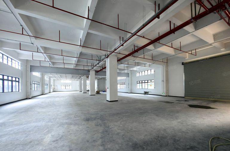 园洲原房东标准楼房5000平米，宿舍900平米出租