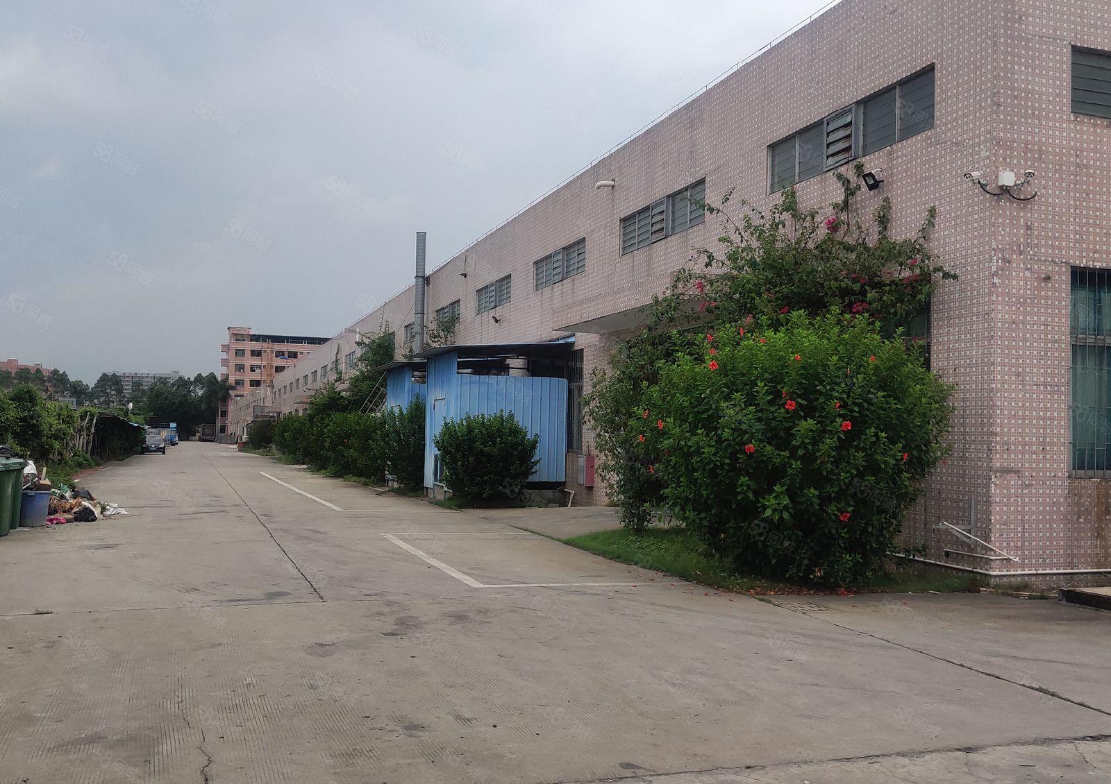 惠州市博罗县龙溪镇独门独院单一层1750仓库厂房出租