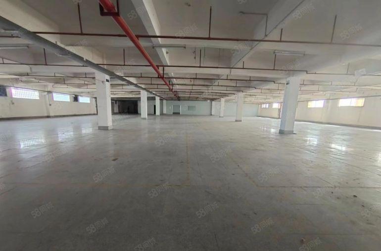 园洲一手房东尾盘4600平只租7.5块钱实际面积