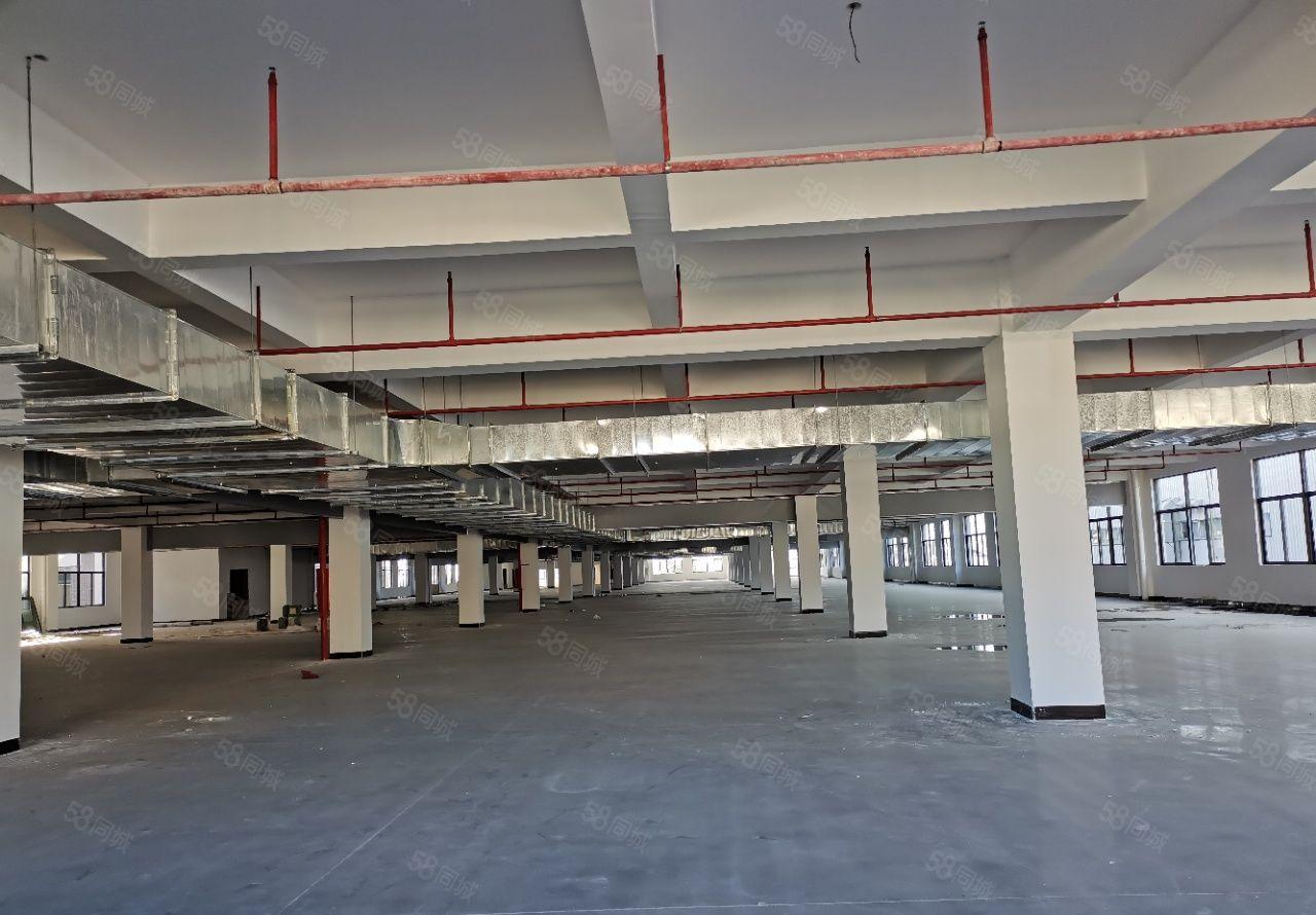 石湾大型成熟工业区1000方起租，红本独院天然气雨污分流厂房