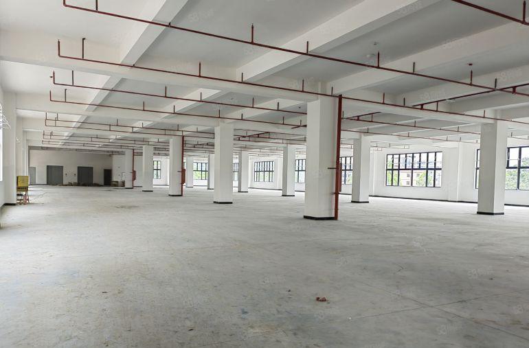 全新红本厂房低价出租！罗阳镇原房东15万平全新精装修厂房出租