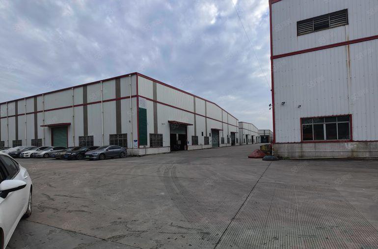 园洲镇原房东滴水11米高钢构厂房4200平米，实际面积出租