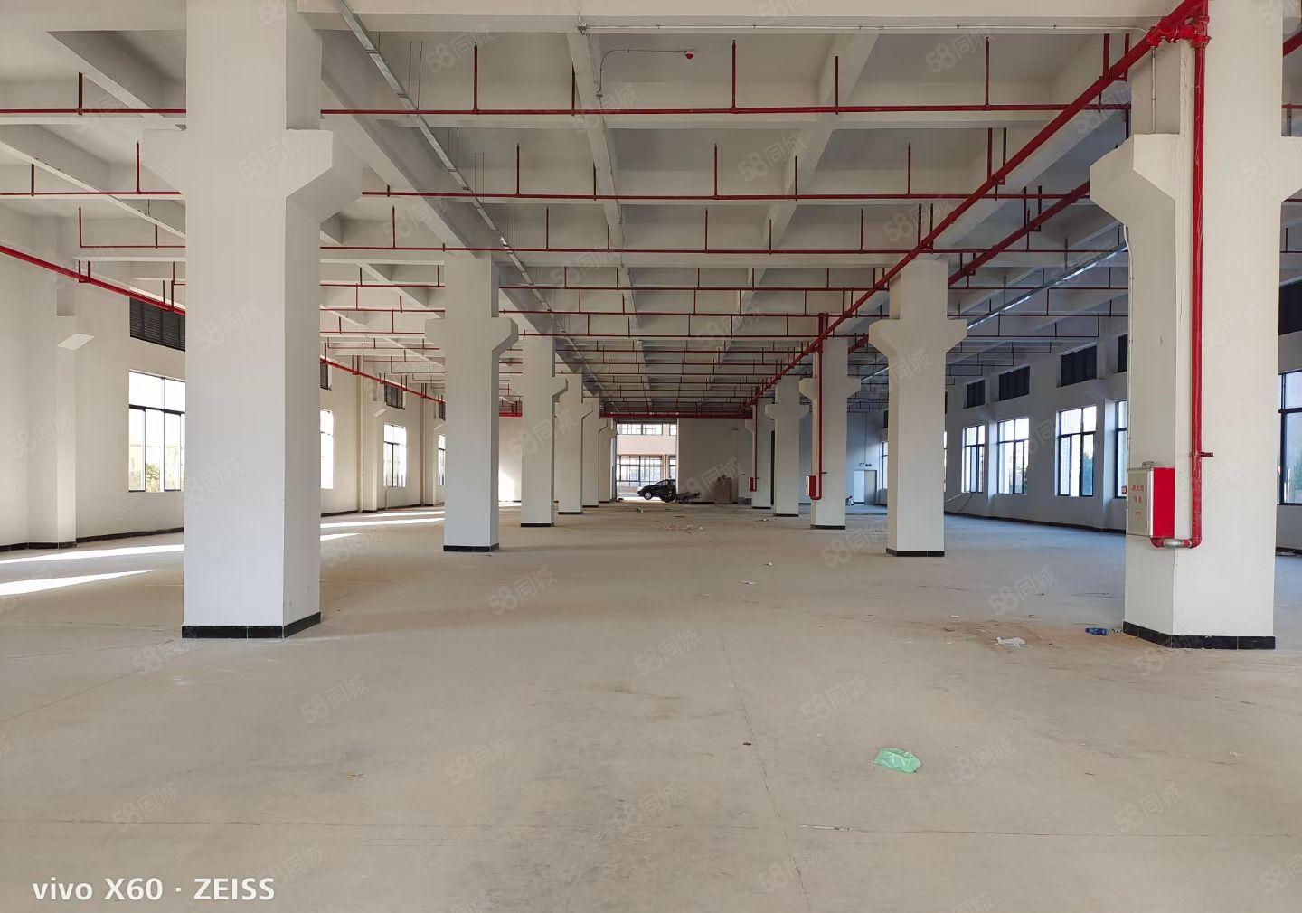 罗阳镇原房东独栋红本标准厂房面积4750招租