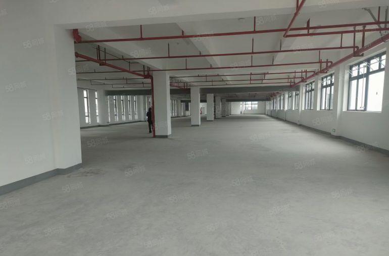 桥头龙溪11000平可分租工业厂房低价出租绿化好 交通便利