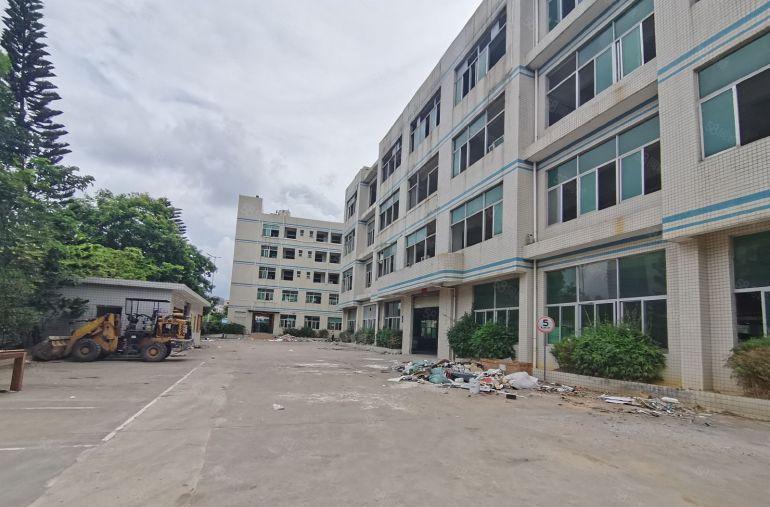 园洲禾山工业区附近带宿舍独院原房东红本厂房出租可分租空地大