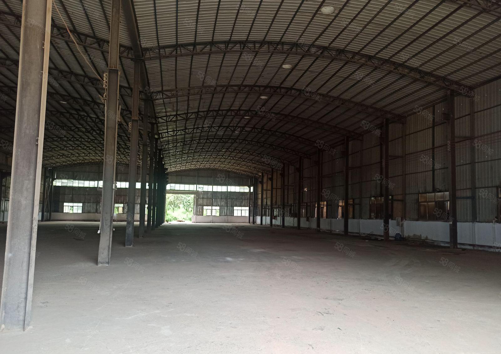 园洲经典独院4500平方，高度10米，周边无居民，可办环评