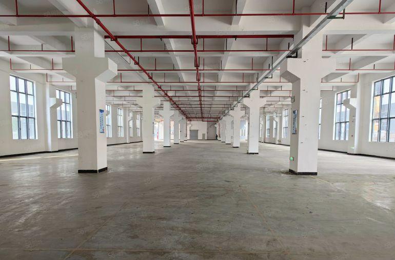 石湾镇原房东标准楼房5300平米，宿舍800平米