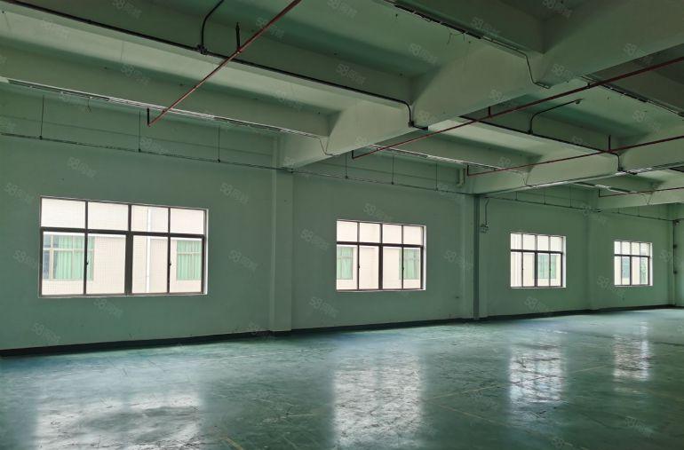 园洲双龙大道附近原房东厂房0.53元天平方，花园厂房