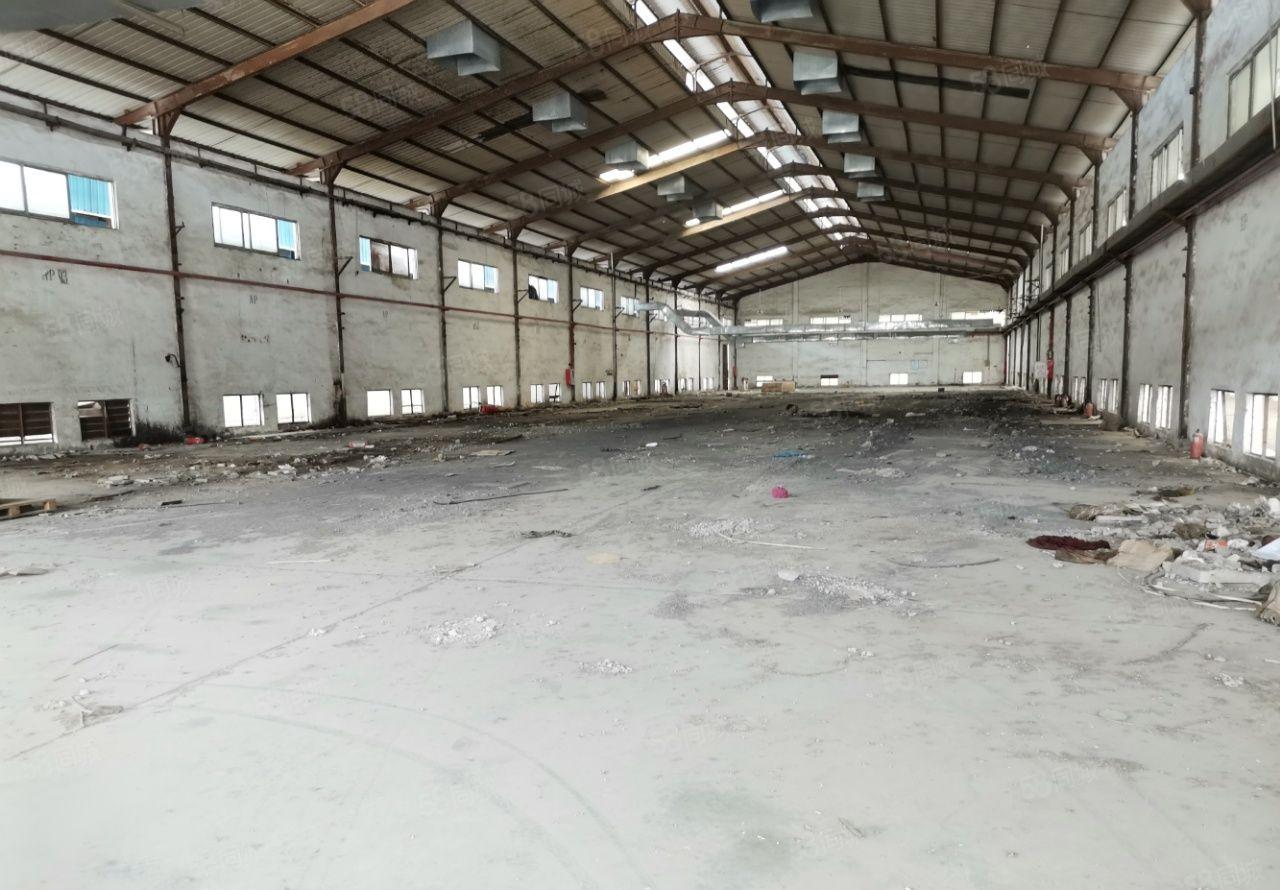 园洲原房东花园式红本钢构厂房40000