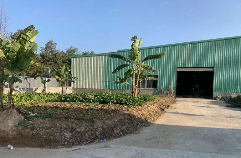 罗阳空地超大单一层独门独院2150平方打包1万元