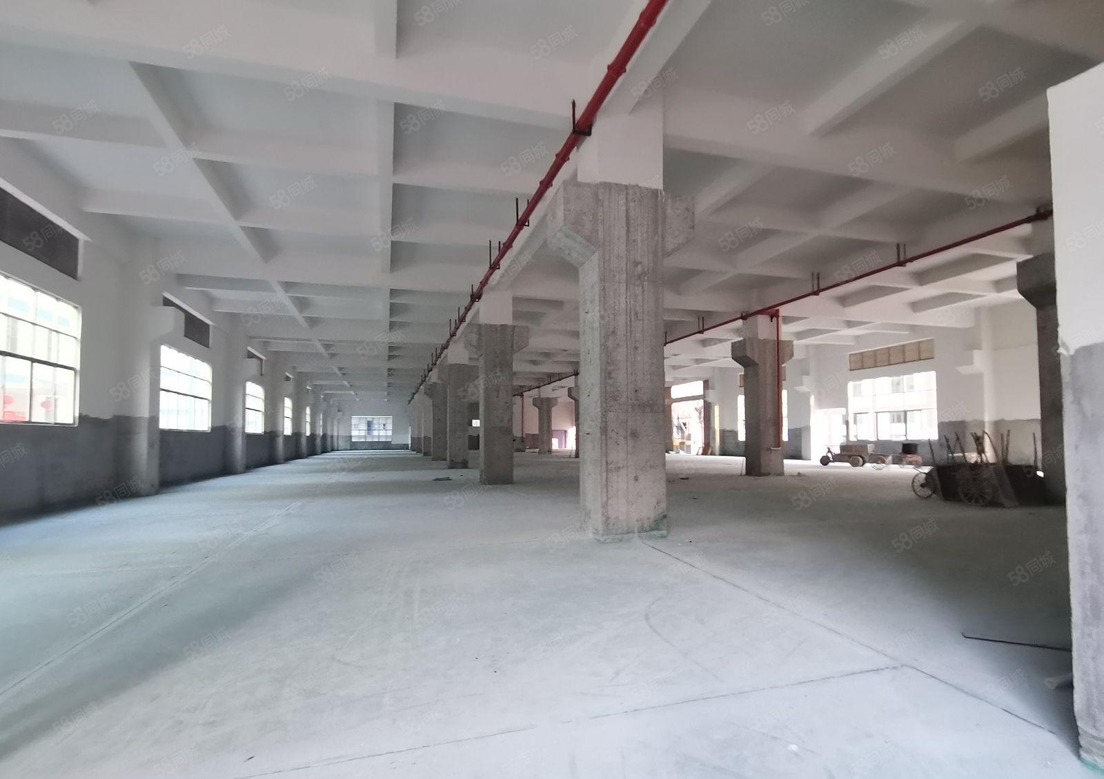 博罗板桥工业区原房东3千平独栋一楼仓库厂房出租可分租可办环评