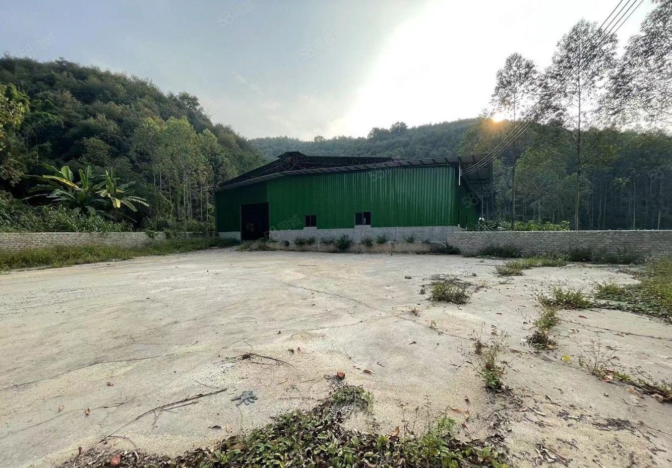 石湾镇新出山脚下周边无居民交通方便原房东独院单一层1600