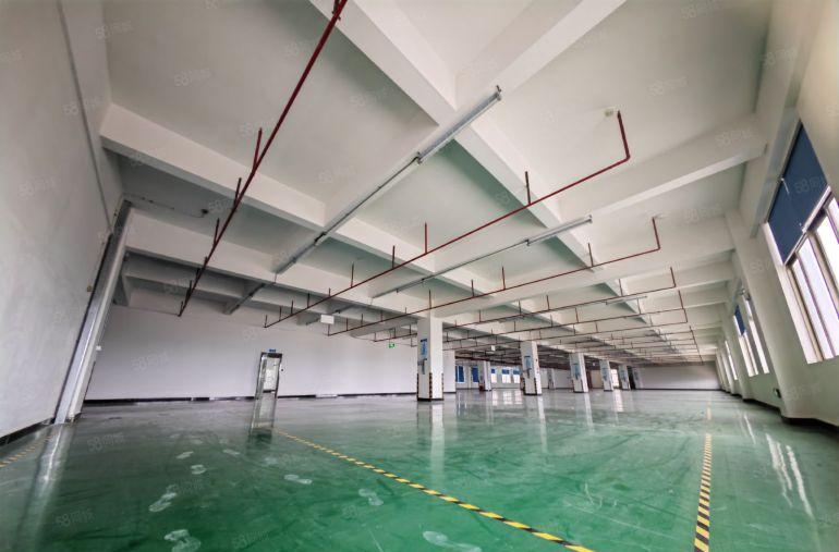 新出精装楼房红本地坪漆9.5成新厂房1.4万平可分 豪华办公