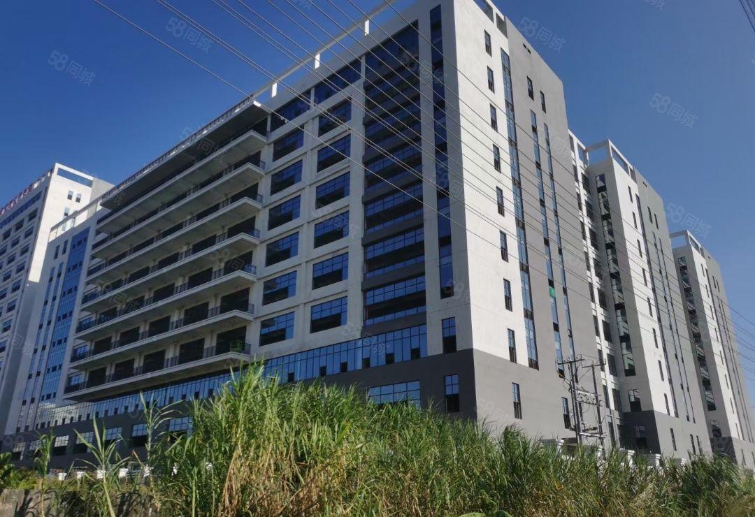 龙溪全新厂房出租  价格优惠  环境形象佳