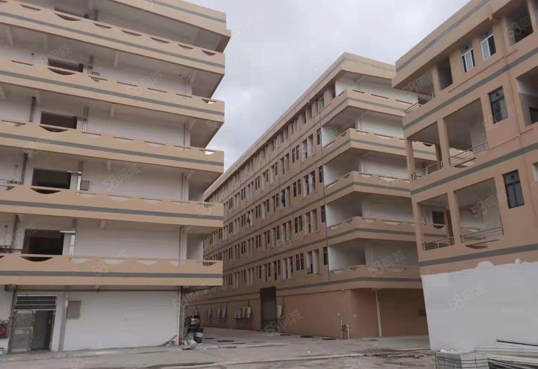 龙华全新厂房出租旁边无居民交通方便