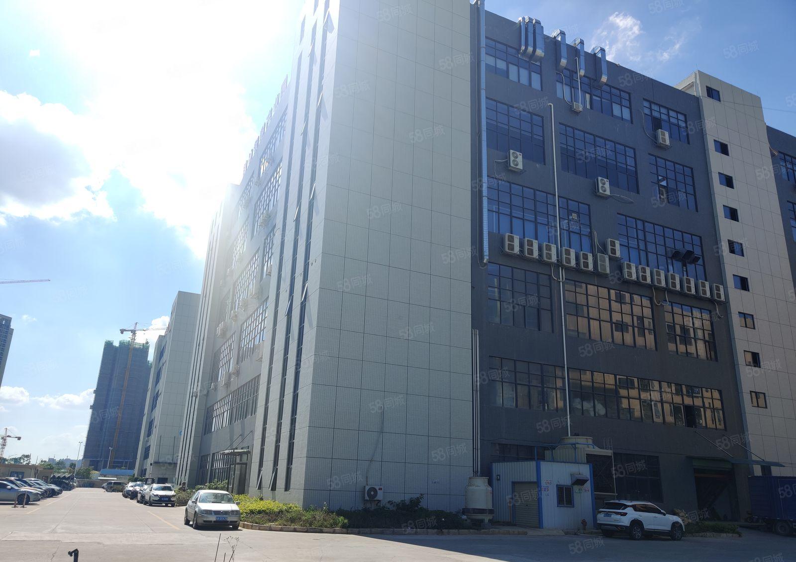 博罗厂房原房东独院红本厂房出租1600平方可分租带办公室装修