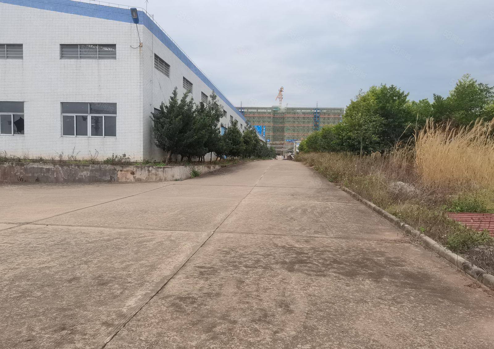 惠州博罗新出20000平方单一层独院厂房出租