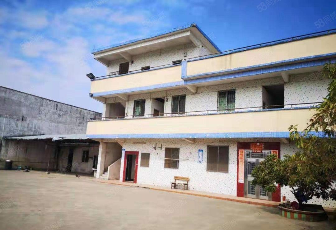 龙溪镇原房东一手房东厂房独院出租，独院厂房单一层出租，铁皮房