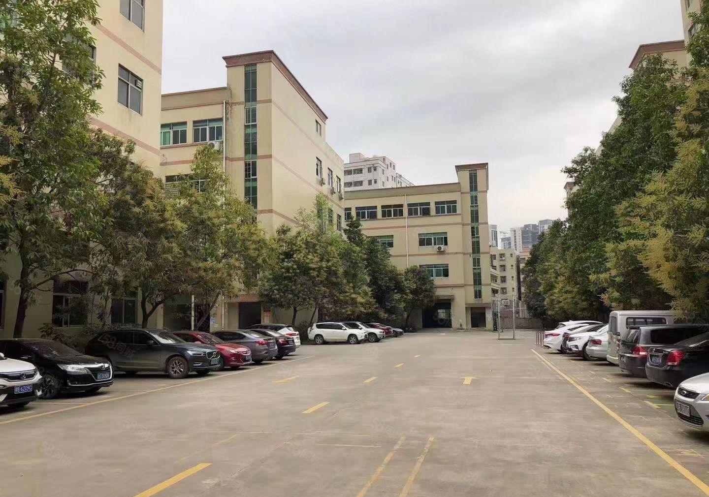 原房东花园式独院厂房出租6000平方，现成装修，可办环评。