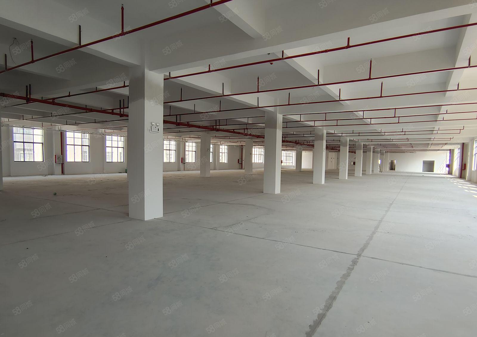 5百8百2千可分租博罗龙溪5万平原房东独院厂房仓库出租带红本