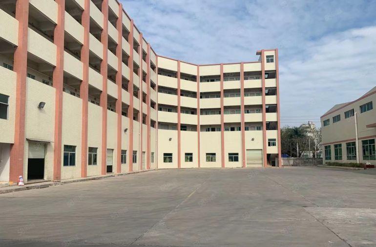 园洲临东莞钢结构独院，单价13块，滴水10米，带行车，可分租