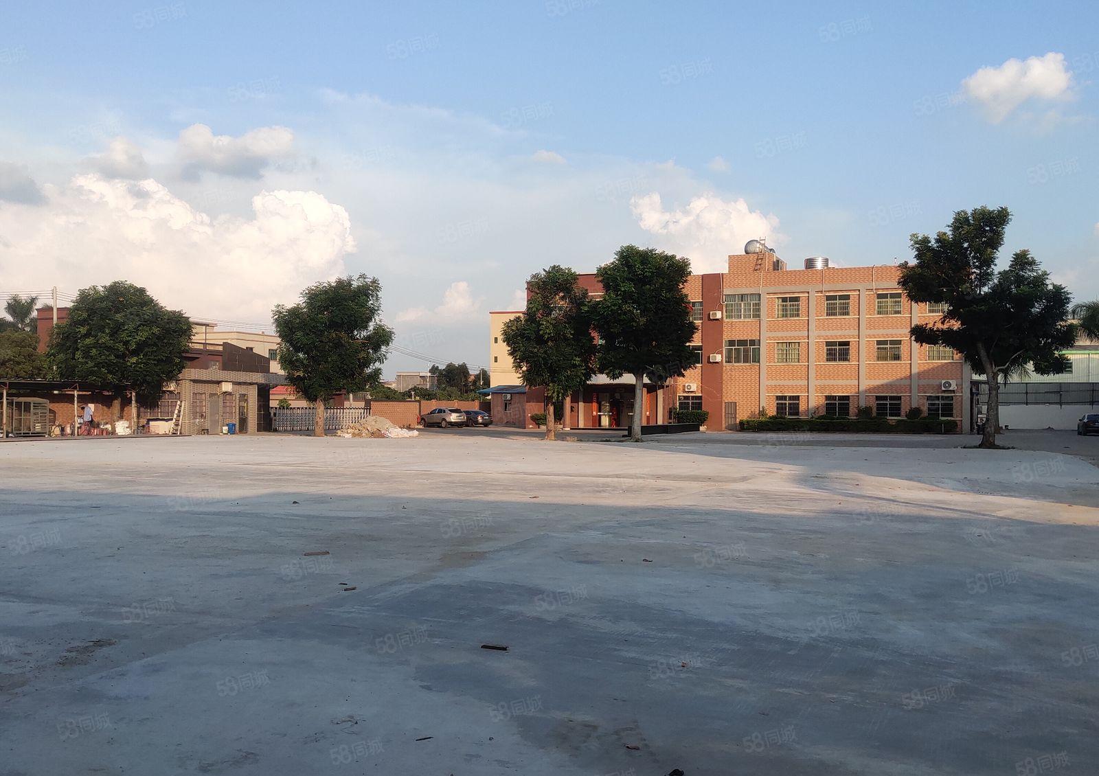 园洲镇原房东独院标准单一层钢构仓库厂房出租