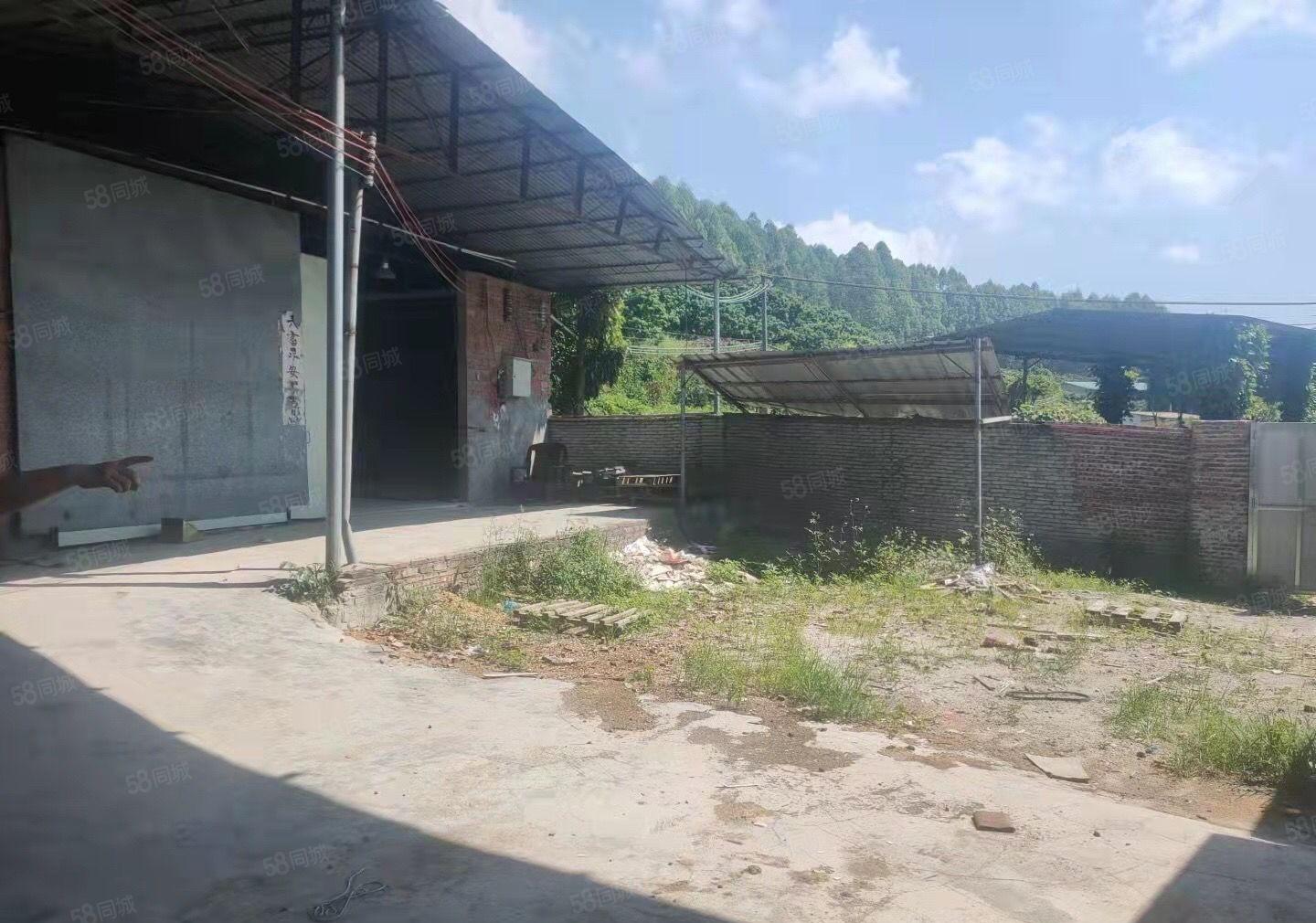 博罗龙华单一层独院3000平10元出租