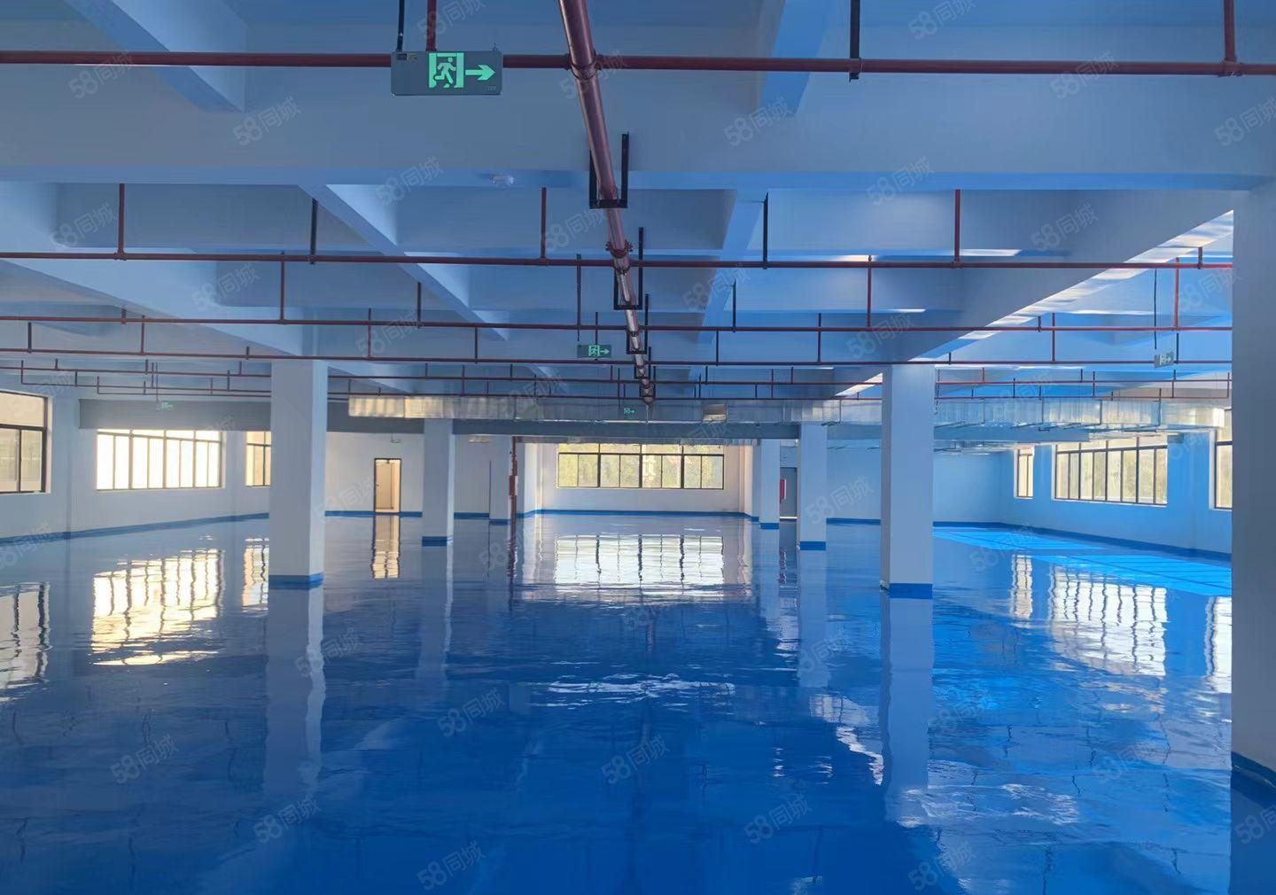 合四角楼红本全新厂房不停电园区