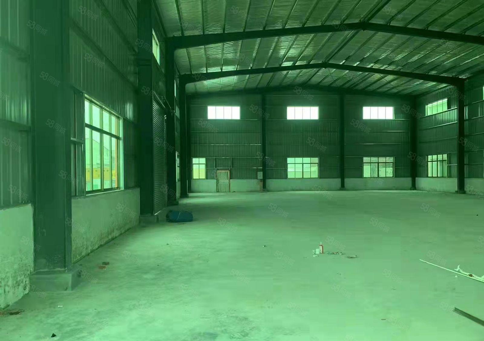 园洲镇新出原房东独门独院单一层厂房1080平方空地600平方