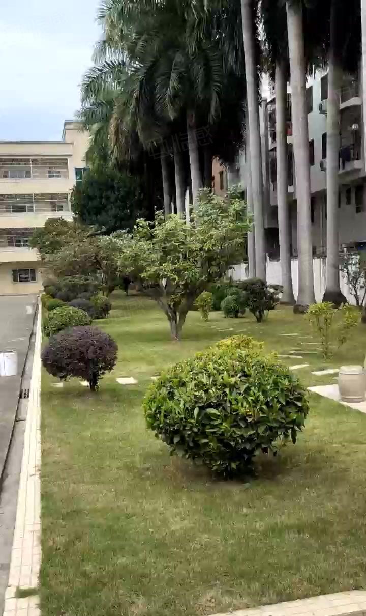 石湾镇花园式厂房国有证交通非常方便