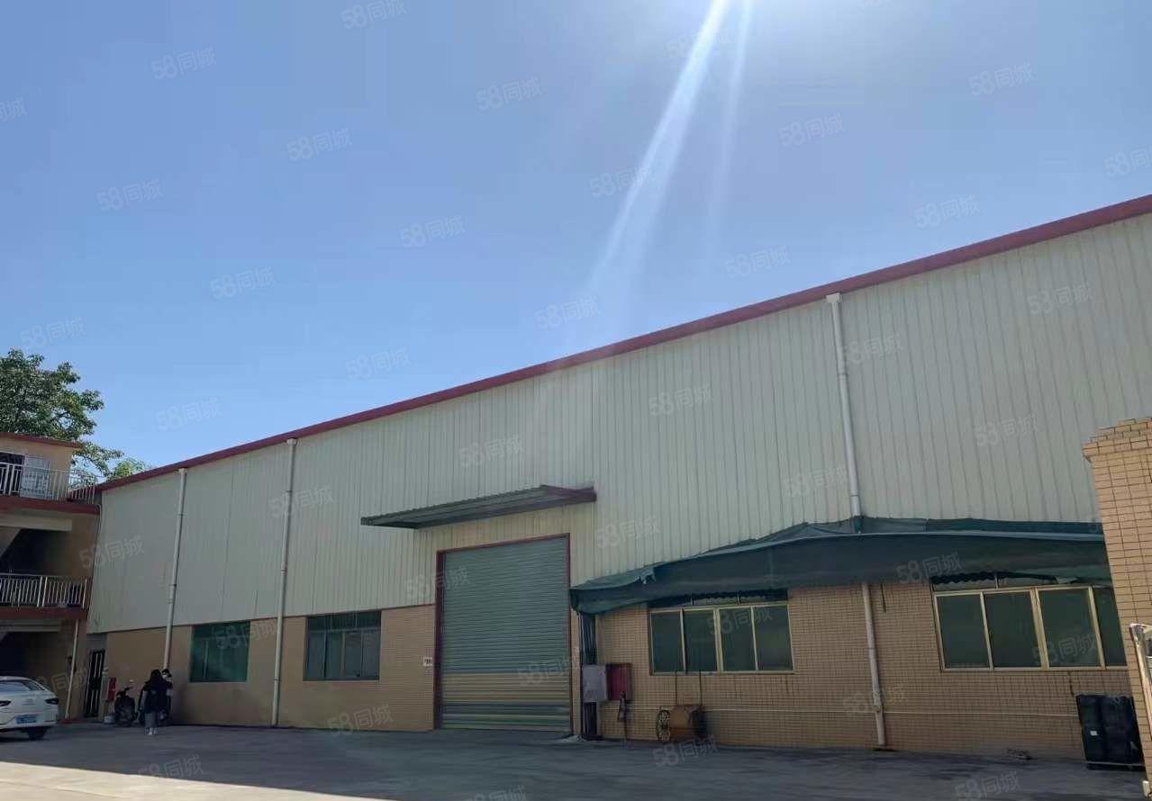 园洲桔龙独门独院形象极好厂房新砖墙9米单一层原房东招租