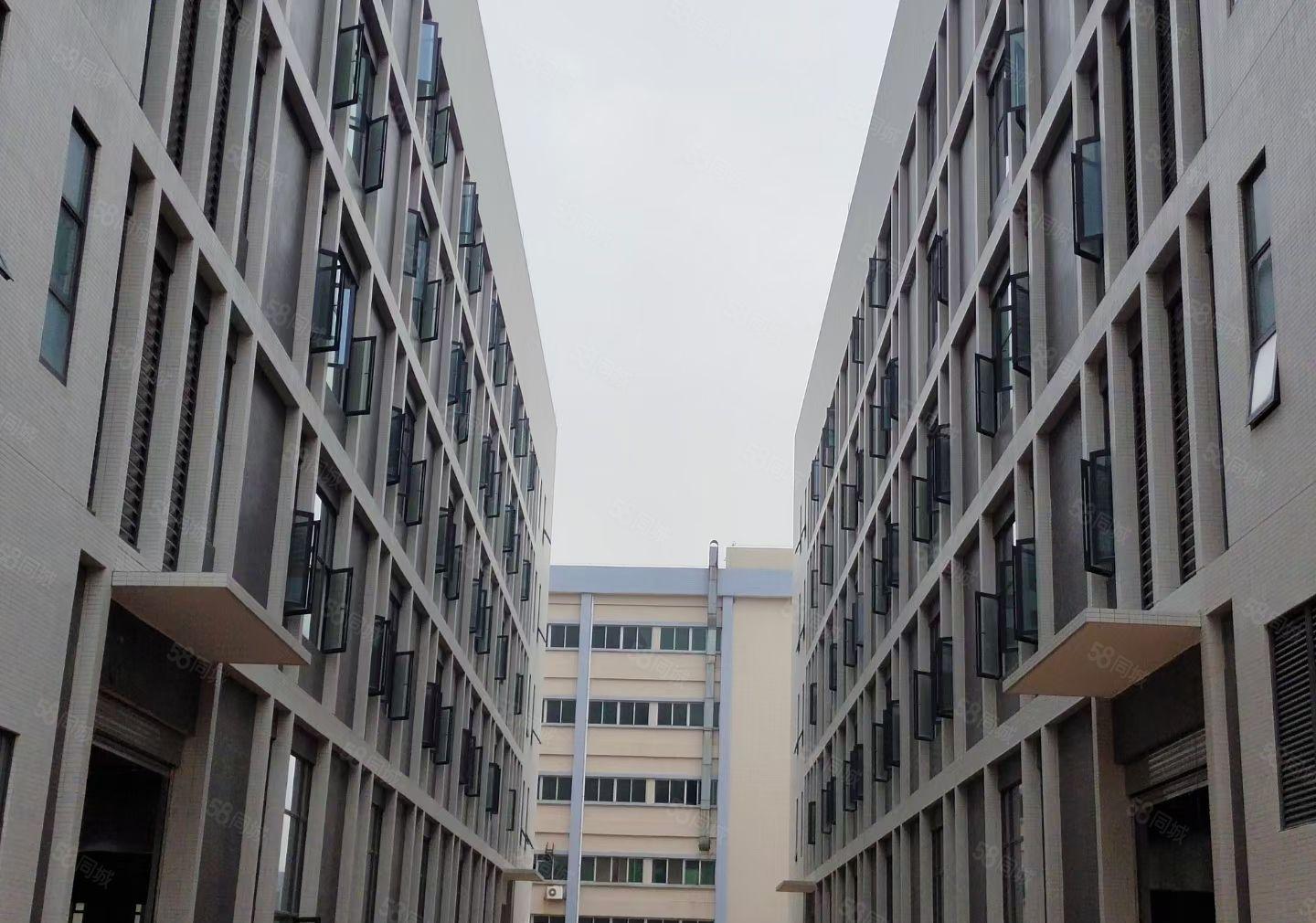 惠州市石湾科技园花园式 厂房出租，交通便利，大小可分租