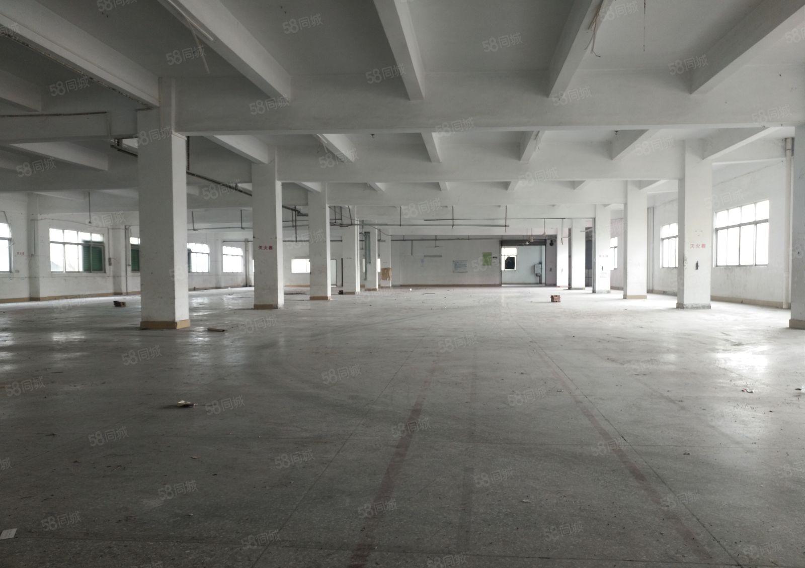 龙溪高速口园区独院厂房出租6600平方，可分租，环评无忧。