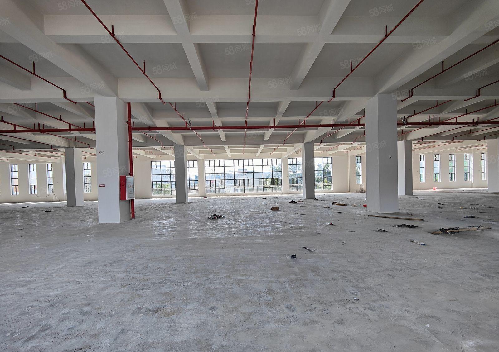 园洲工业区附近新出6880平方标准厂房出租，可以分租