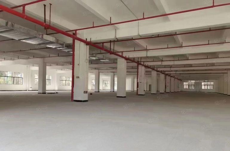 2000平方一楼原房东工业园招租