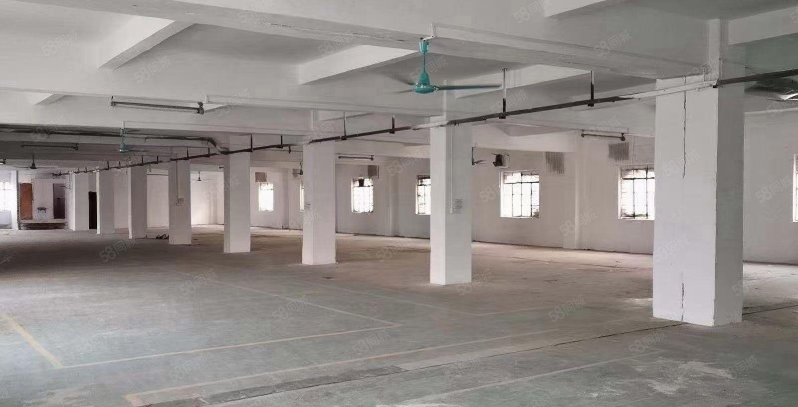 龙溪街道证件齐全标准厂房面积40800首层高8米招租