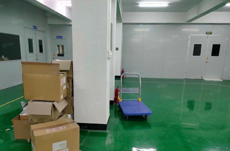 惠州石湾原房东厂房 600平整层带装修水电到位底价8元出租