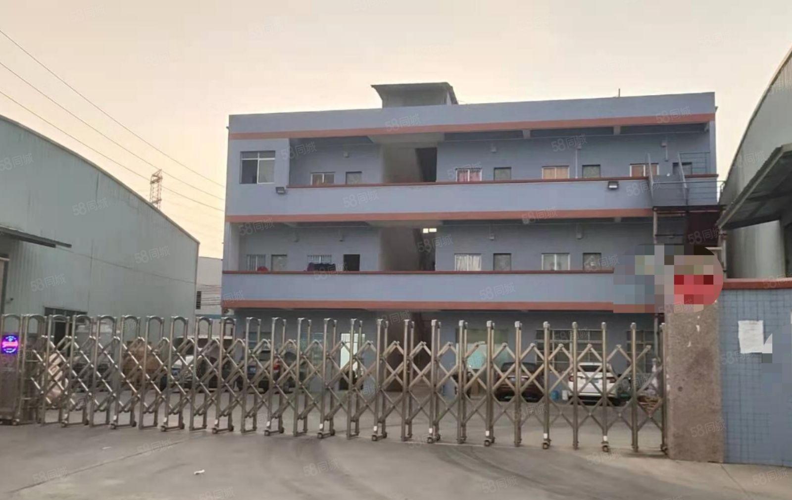 园洲镇村委新出独院钢构単一层厂房电可对公不赚一分钱差价